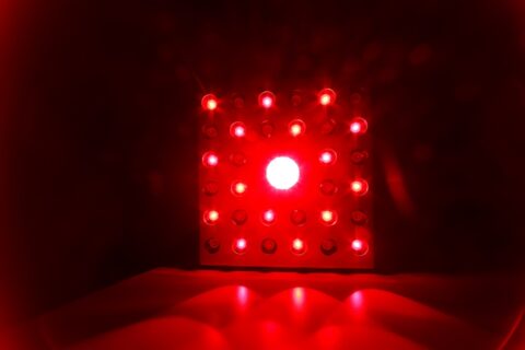 Red LED light panel glowing brightly with multiple illuminated bulbs in Portland, OR